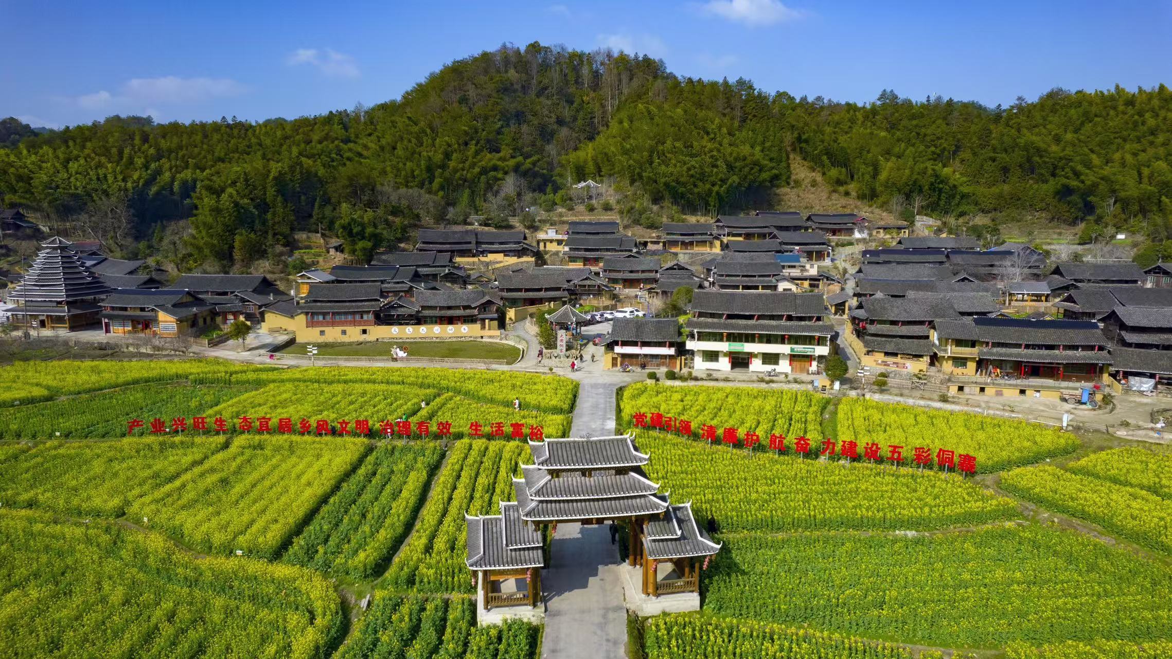 感受体育与 感受体育与